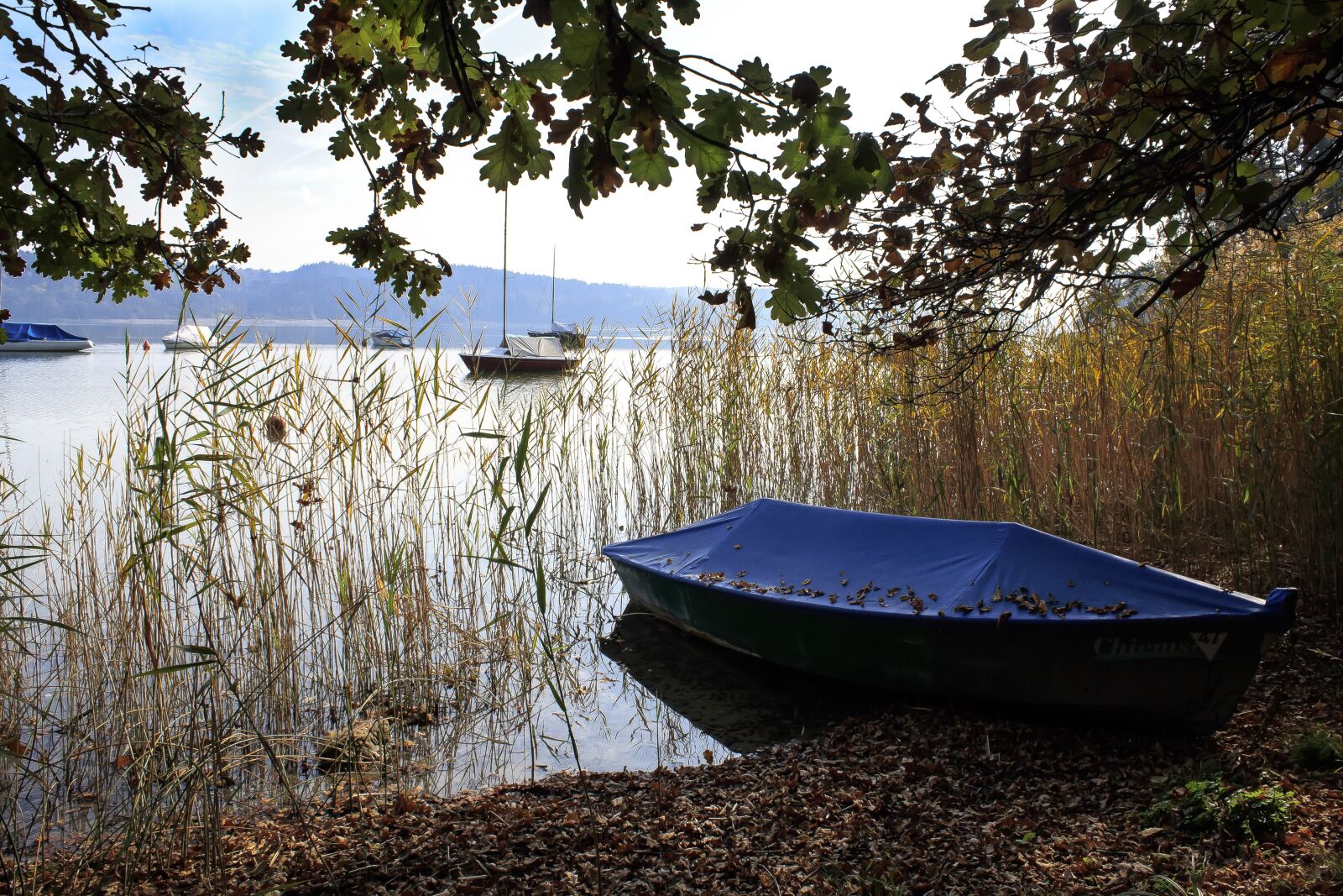 Canon EOS 1300D (EOS Rebel T6 / EOS Kiss X80) sample photo. Lake, reed, boats photography