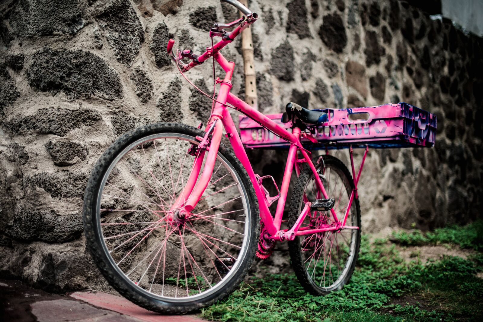 Nikon D800 sample photo. Pink, bike, bicycle photography