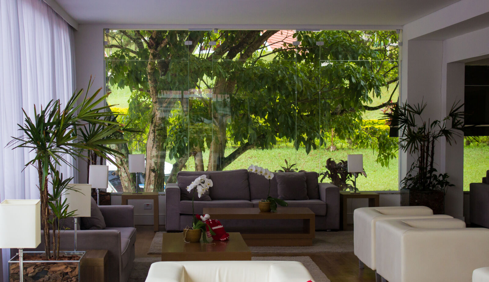Canon EOS 600D (Rebel EOS T3i / EOS Kiss X5) sample photo. Furniture, indoor, nature photography