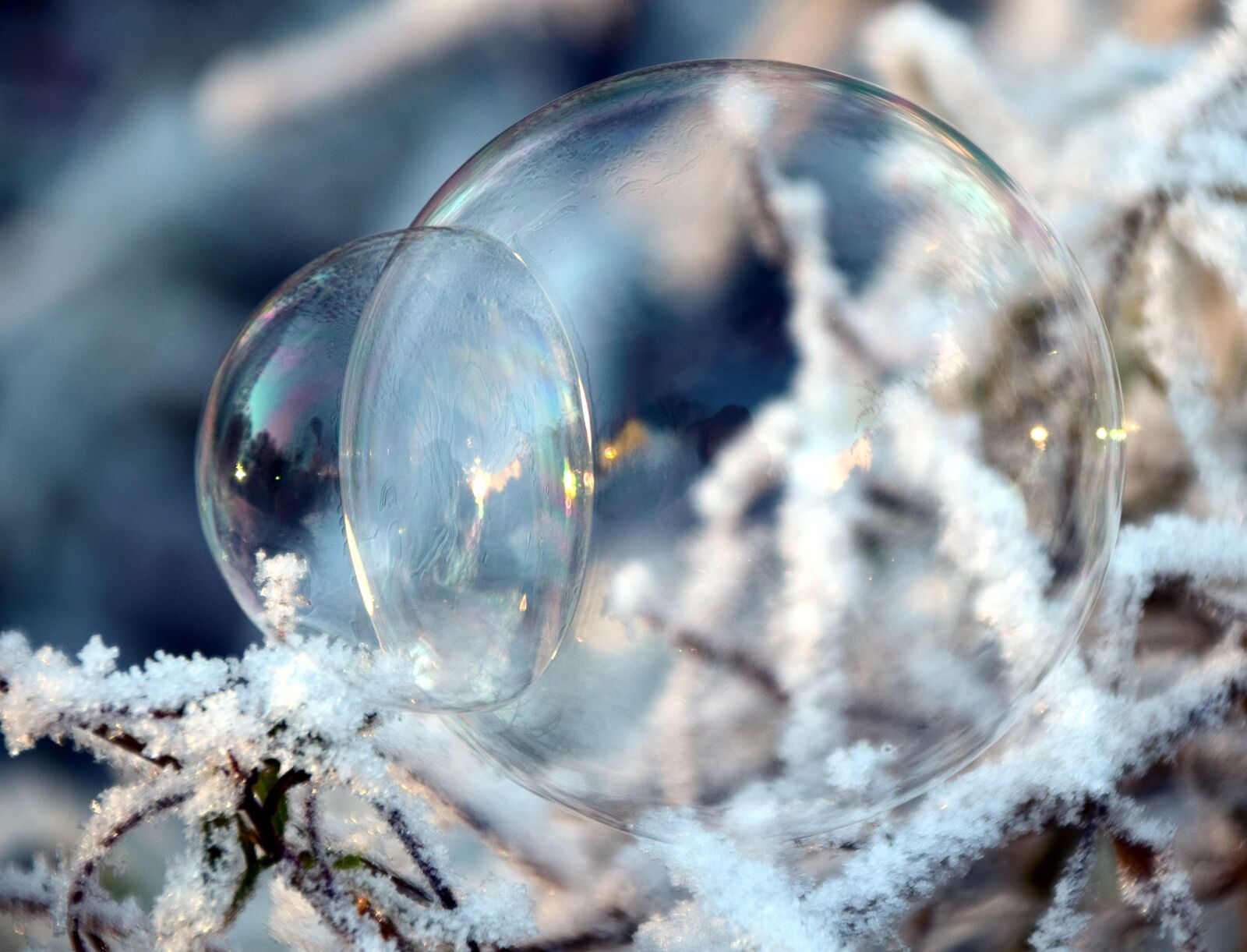 Nikon D3300 sample photo. Bubble, soap bubble, balls photography