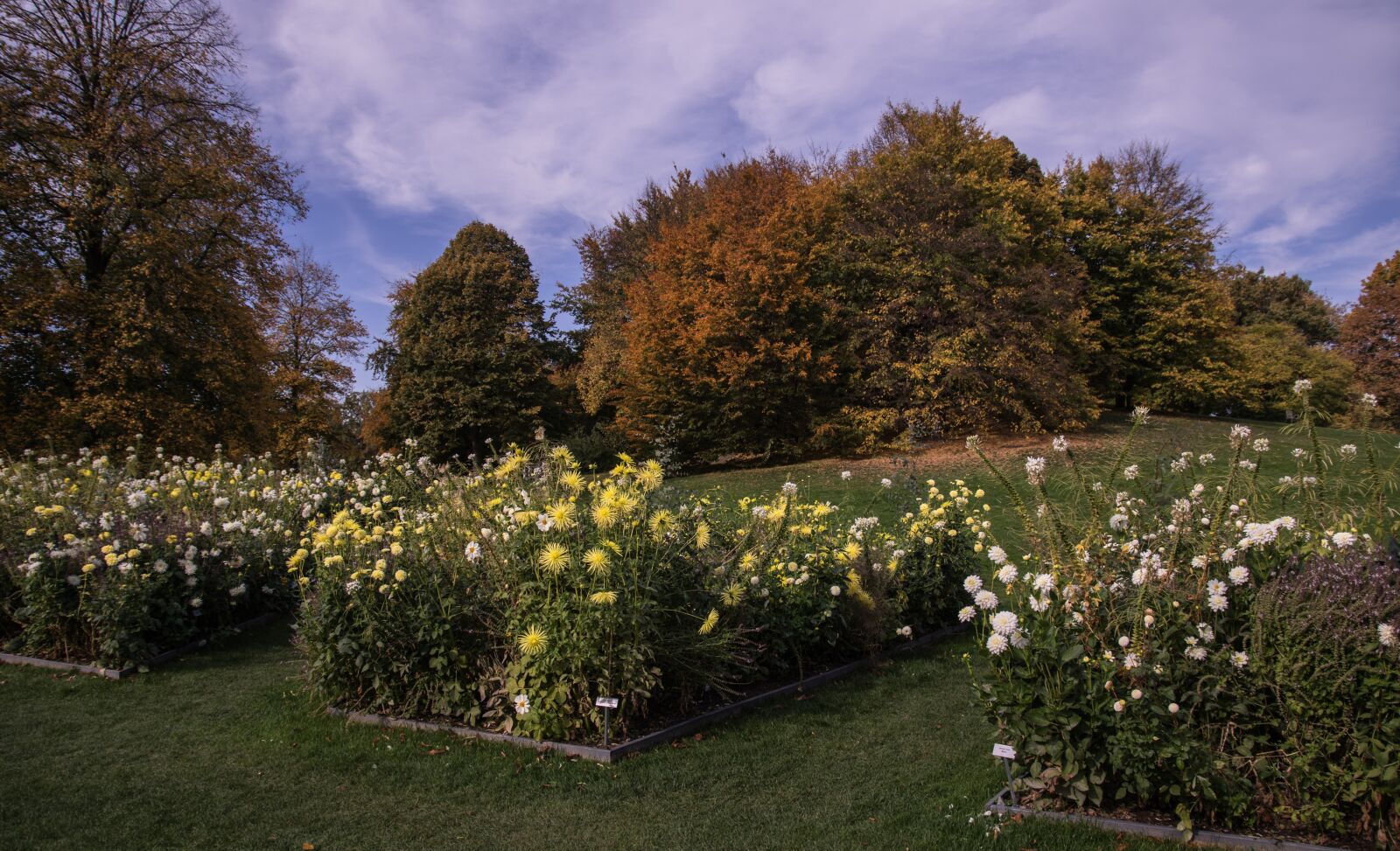 Pentax K-3 sample photo. Autumn, garden, nature photography
