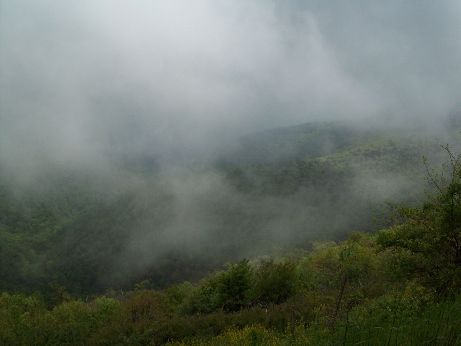 Kodak EASYSHARE C813 ZOOM DIGITAL CAMERA sample photo. Mist, mountain, landscape photography