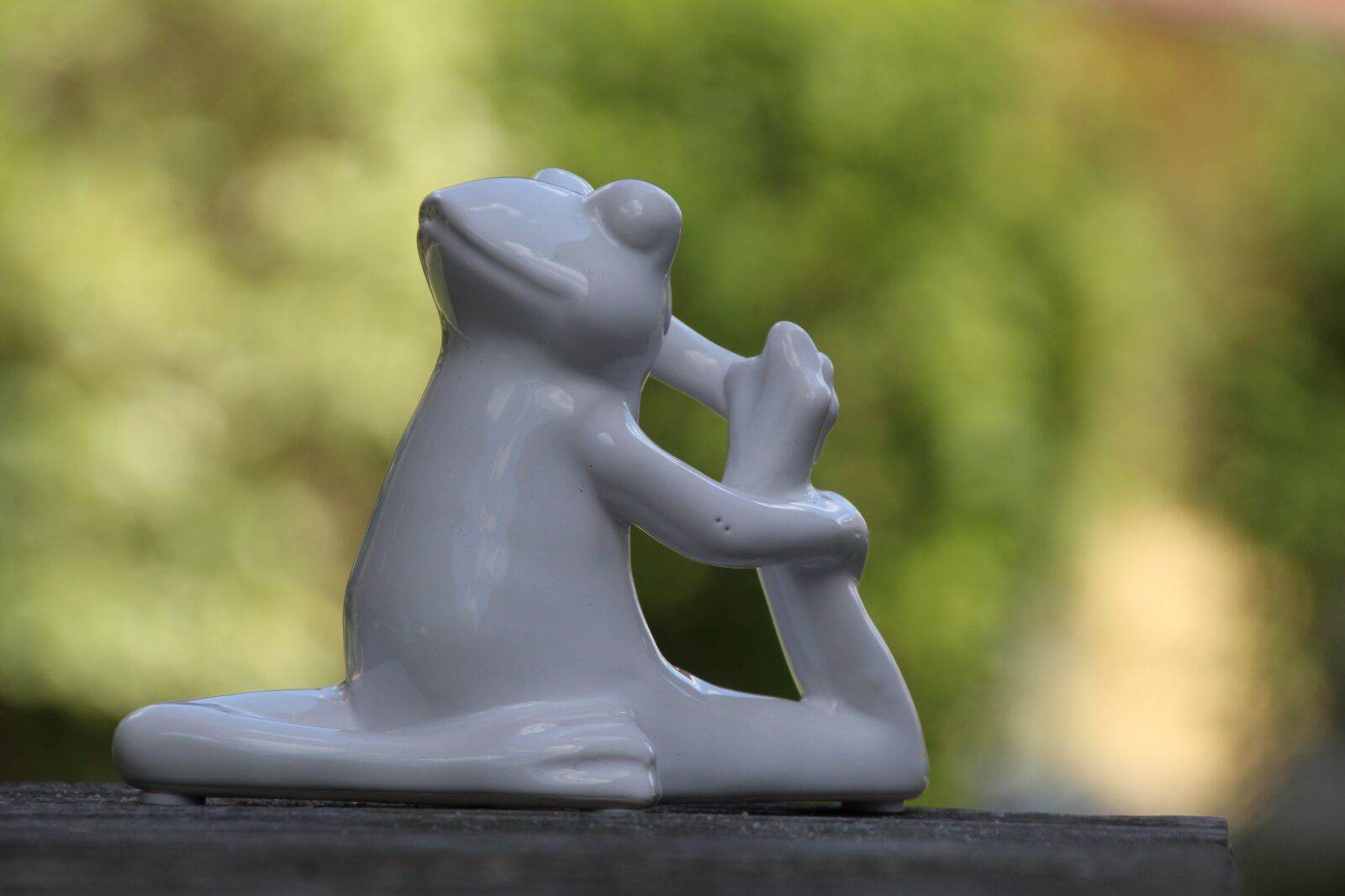 Canon EOS 1200D (EOS Rebel T5 / EOS Kiss X70 / EOS Hi) sample photo. Yoga, frog, gymnastics photography