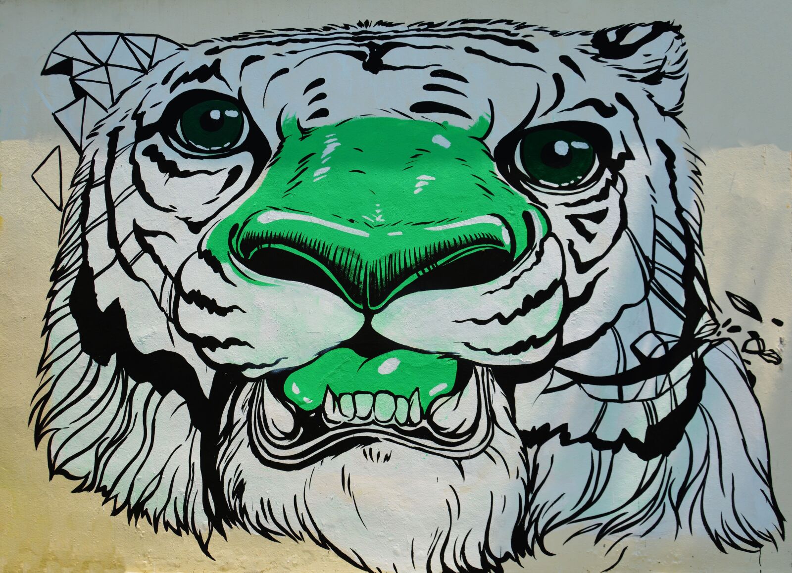 Nikon D5200 sample photo. Graffiti, wall art, street photography