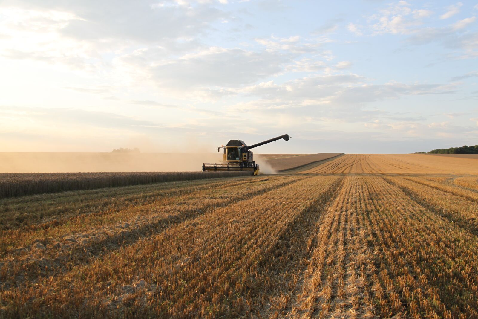 Canon EOS 500D (EOS Rebel T1i / EOS Kiss X3) sample photo. Fields, wheat, harvest photography