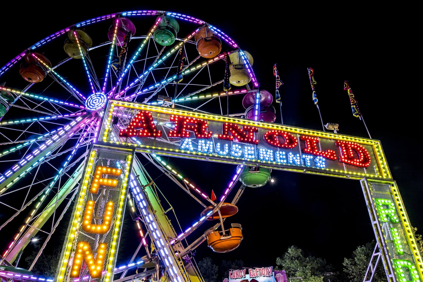Nikon D810 sample photo. Ferris wheel, carnival, night photography