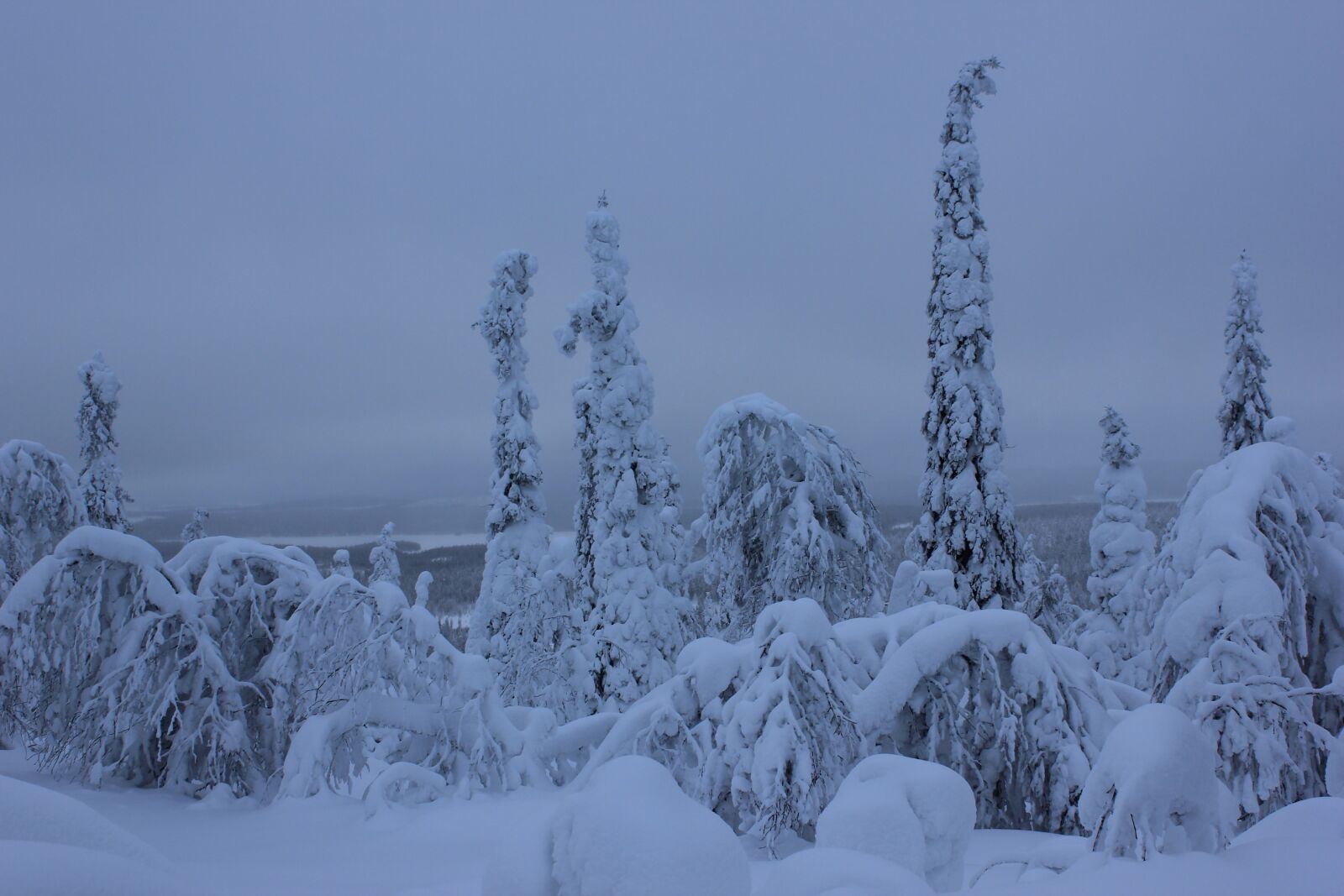 Canon EOS 550D (EOS Rebel T2i / EOS Kiss X4) sample photo. Finland, lapland, winter photography