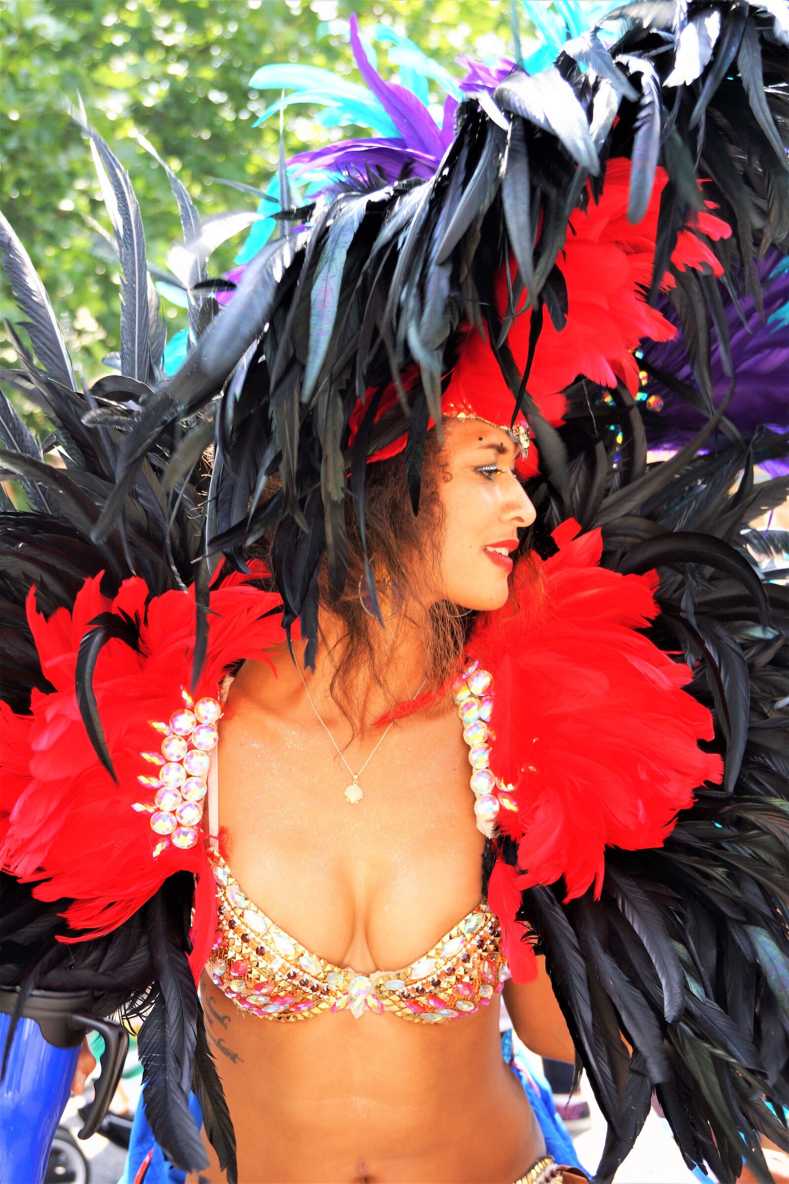 Sony Alpha NEX-7 sample photo. Carnival, headgear, costume photography