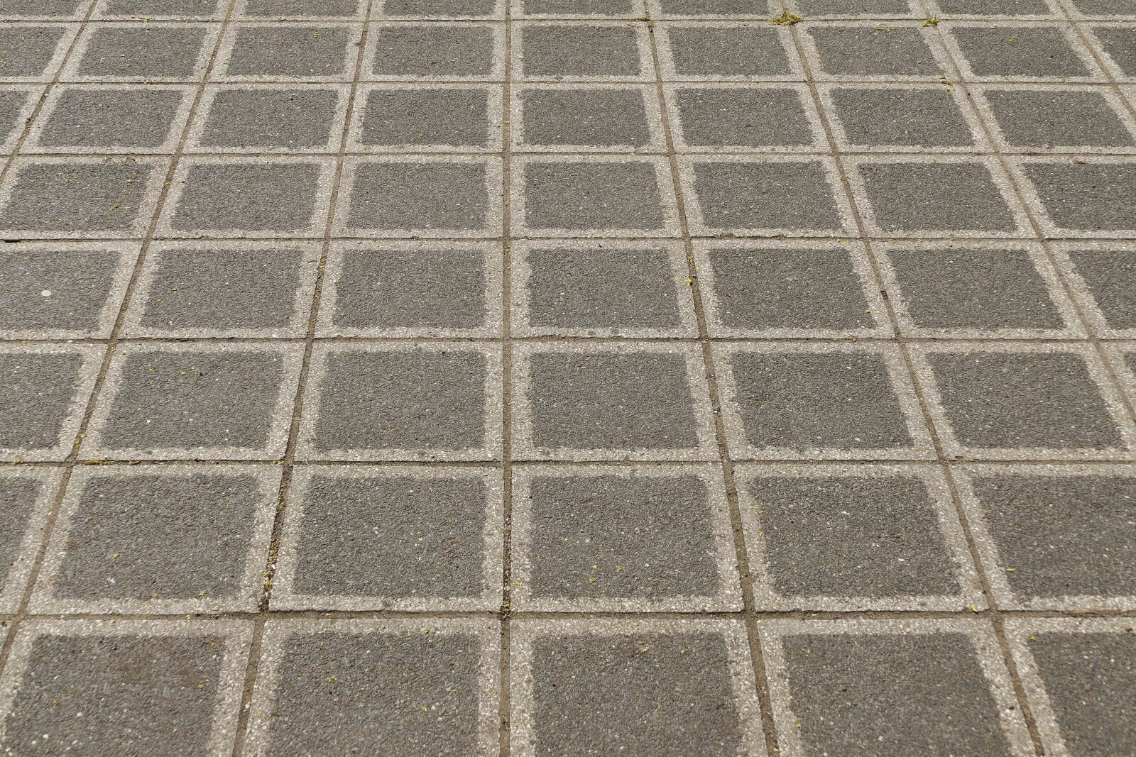 Panasonic Lumix DMC-FZ1000 sample photo. Patch, flooring, paving stones photography