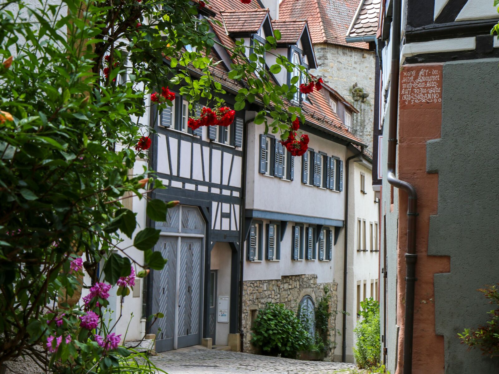 Canon EOS 70D sample photo. Bad wimpfen, historic old photography