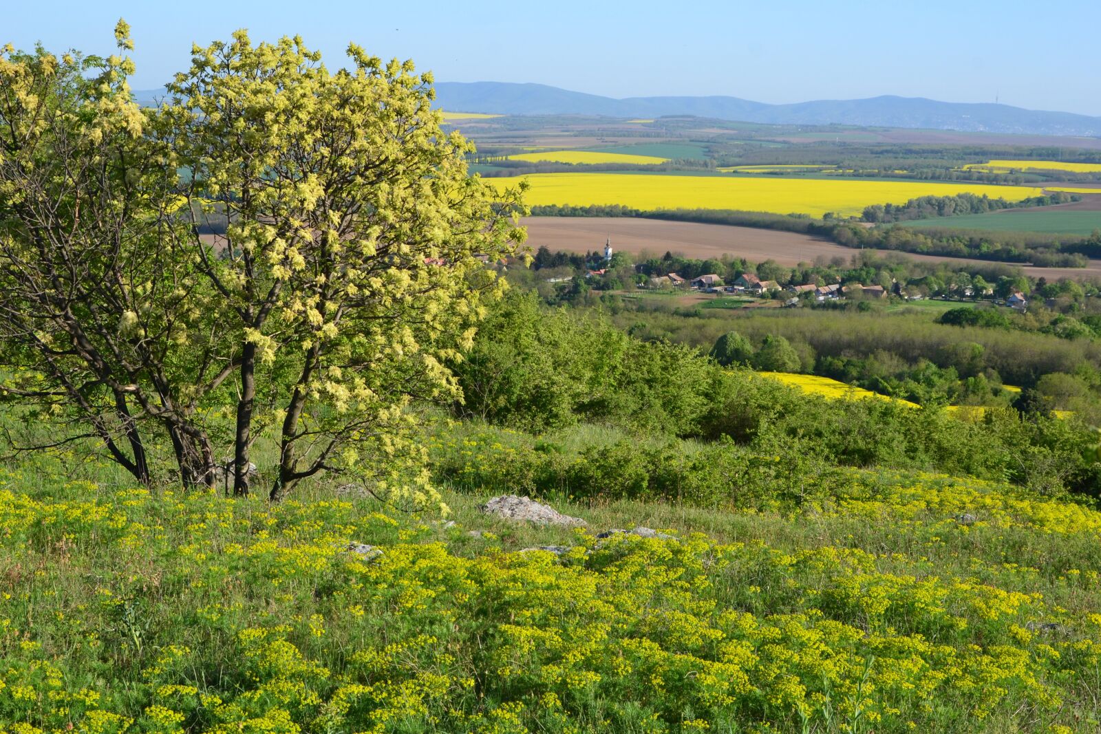 Nikon D3100 sample photo. Landscape, baranya, villany hills photography