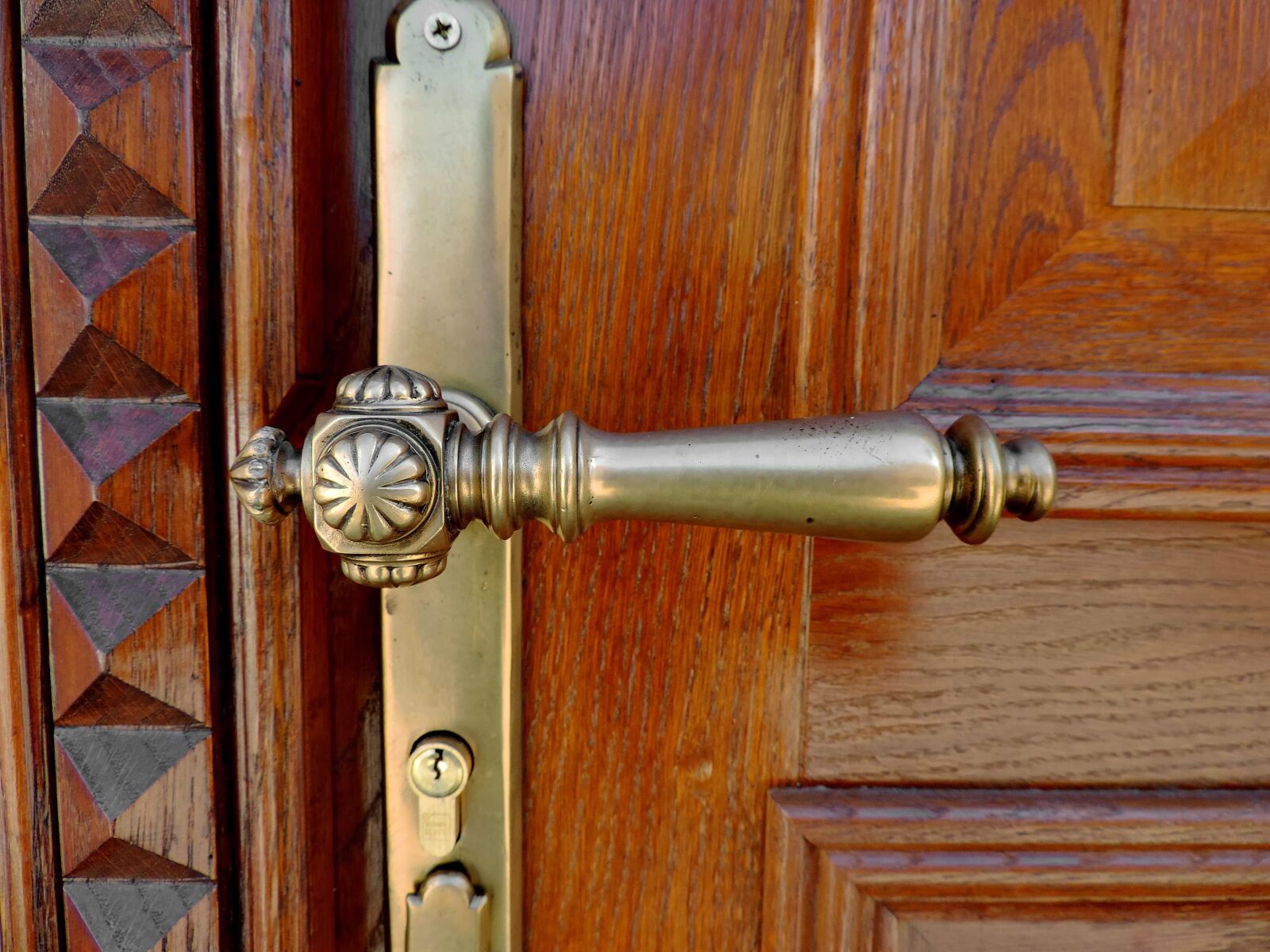 Nikon Coolpix P520 sample photo. Brass, carpentry, front door photography