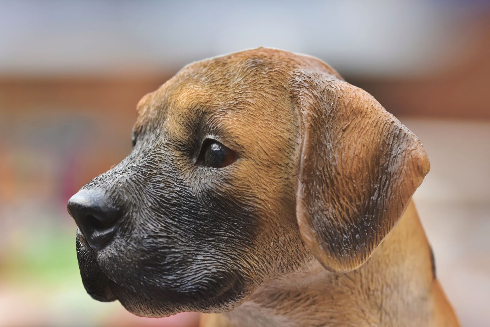 Nikon D7200 sample photo. Dog figure, dog head photography