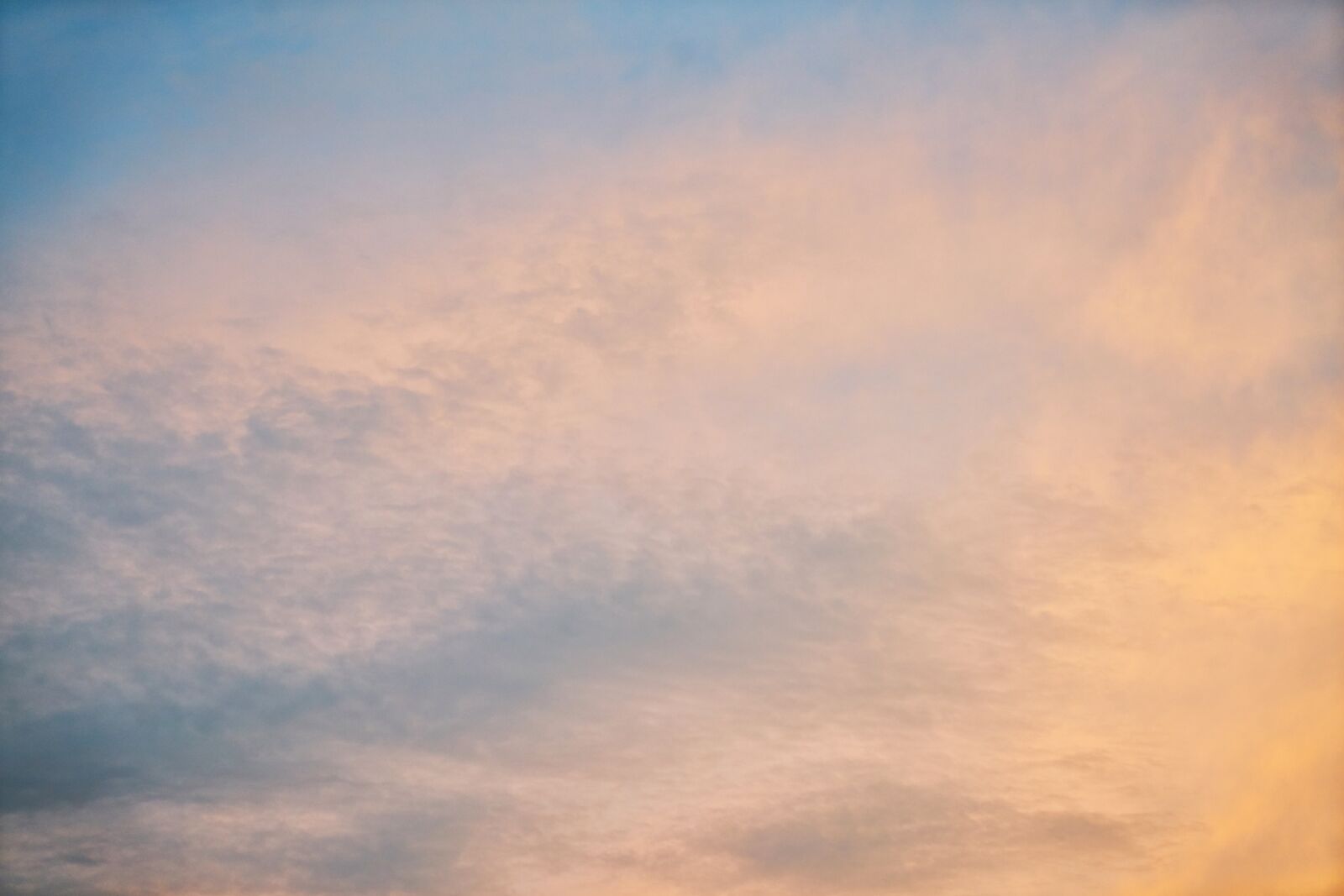 Sony a7R II sample photo. Sky, background, nature photography