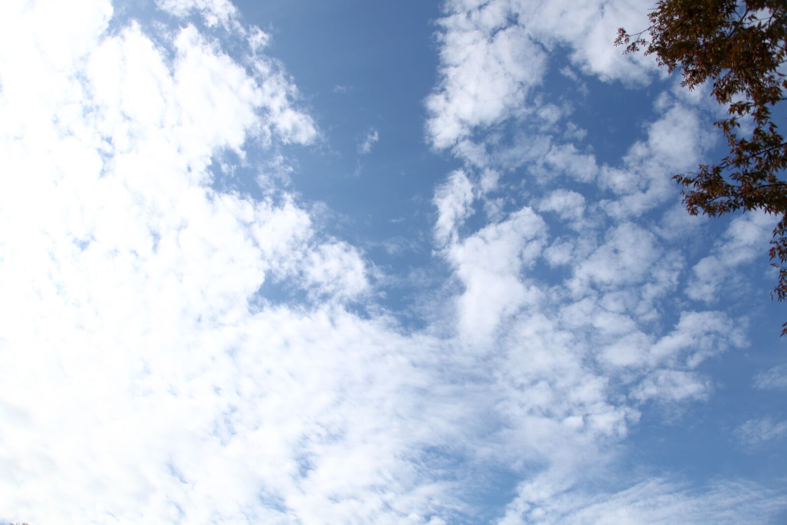 Canon EOS 5D Mark II sample photo. Cloud, sky, blue photography