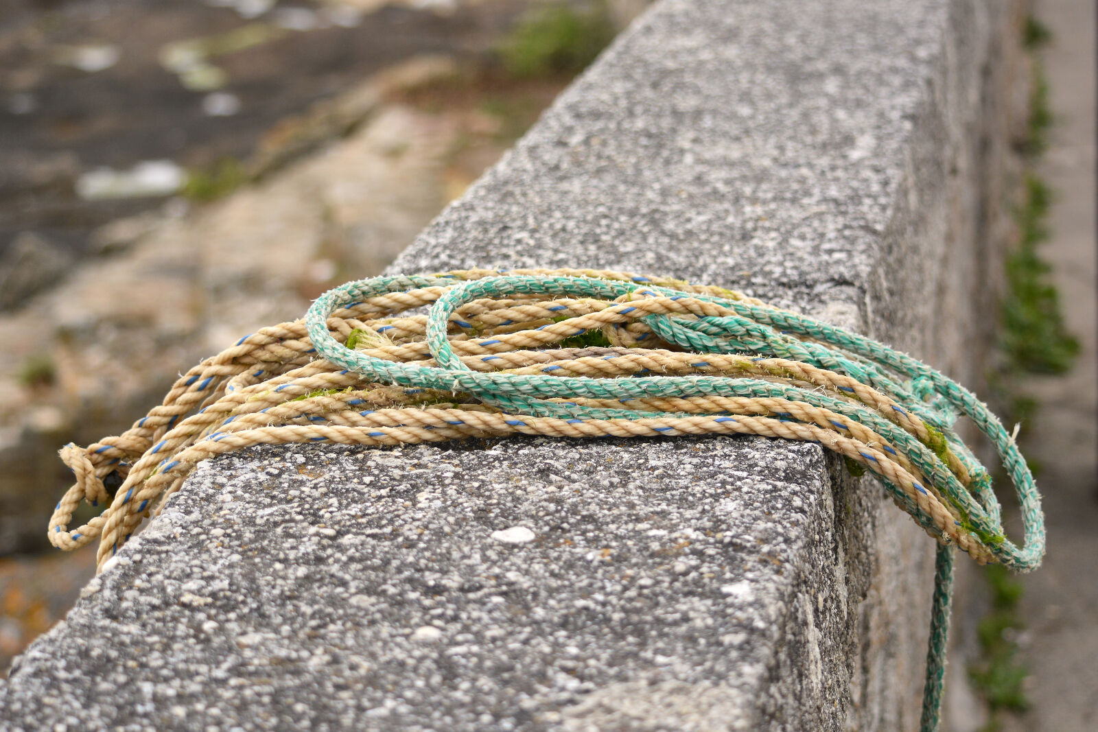 Nikon D5200 sample photo. Attache, attacher, cordage, corde photography