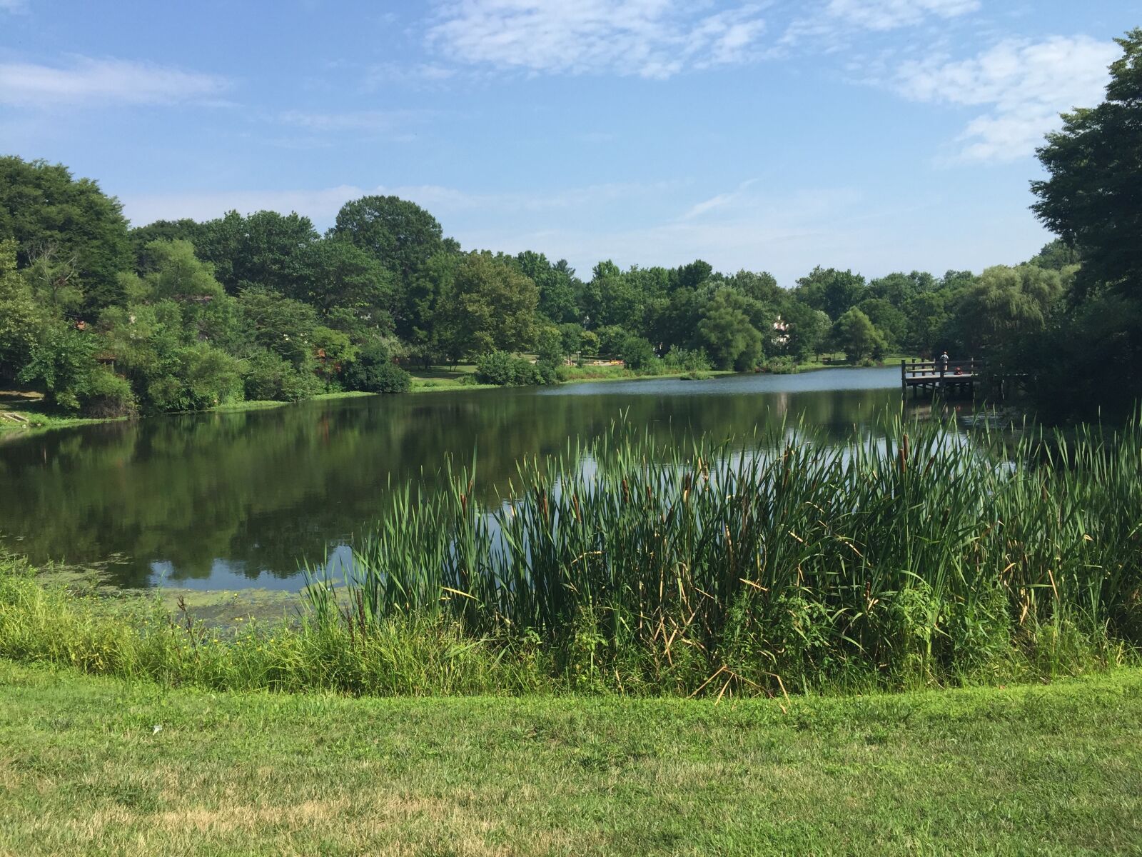 iPhone 6 Plus back camera 4.15mm f/2.2 sample photo. Lake, trees, water photography
