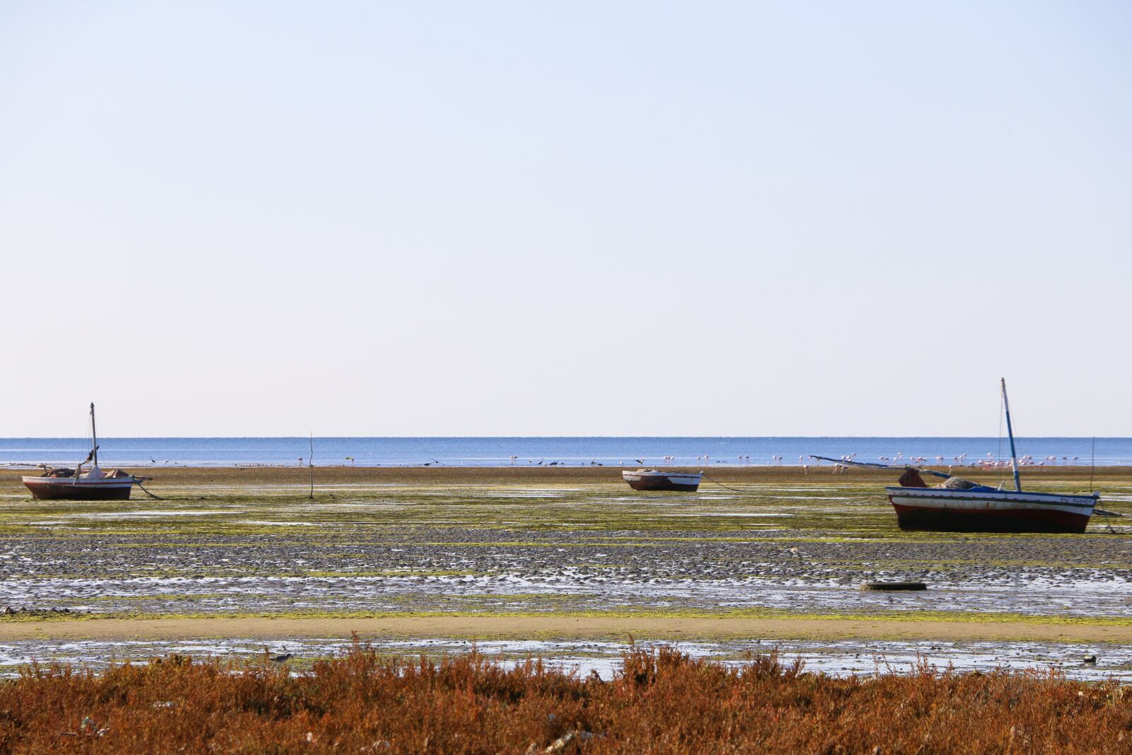 Canon EOS 70D sample photo. Town of mahares, horizontal photography