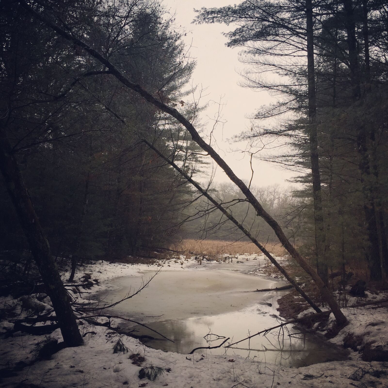 Apple iPhone 6 sample photo. Winter, day photography