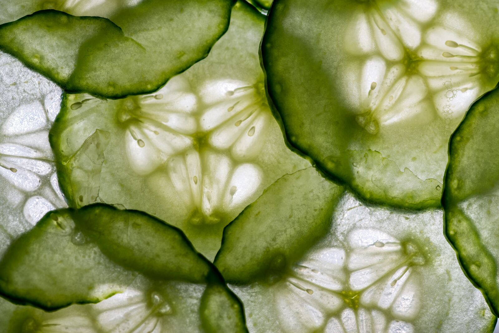Nikon D610 sample photo. Cucumber slices, cucumber, sandwich photography