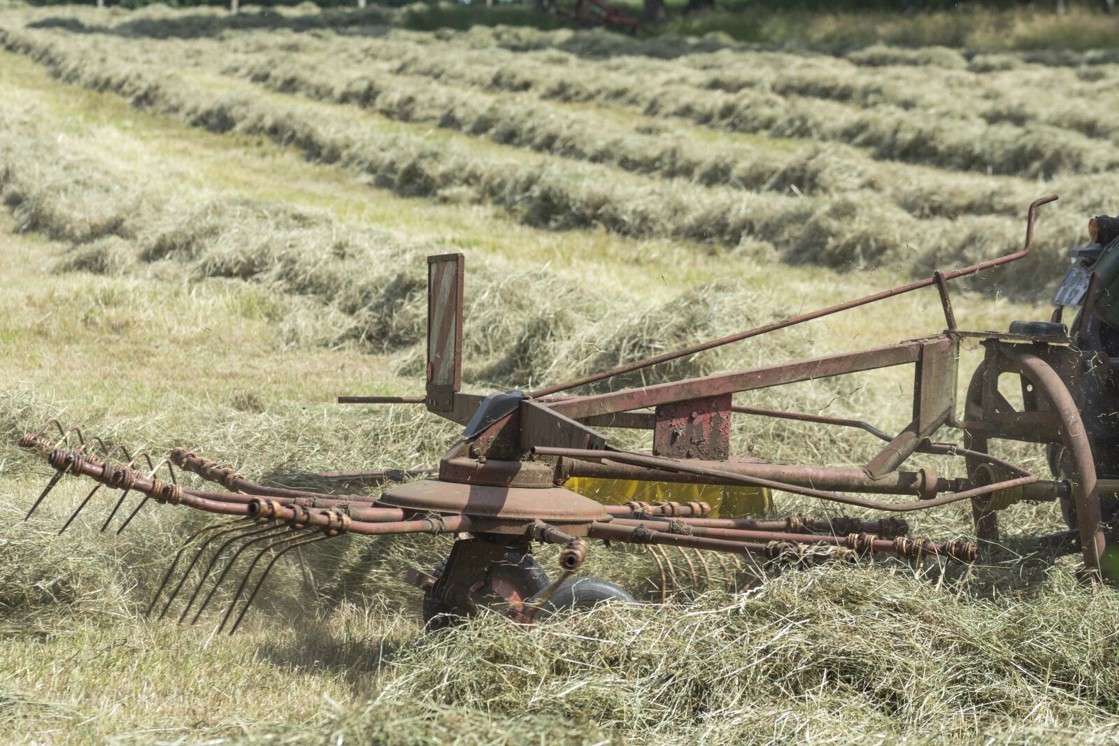 Nikon D5200 sample photo. Haymaking, agriculture, hay photography