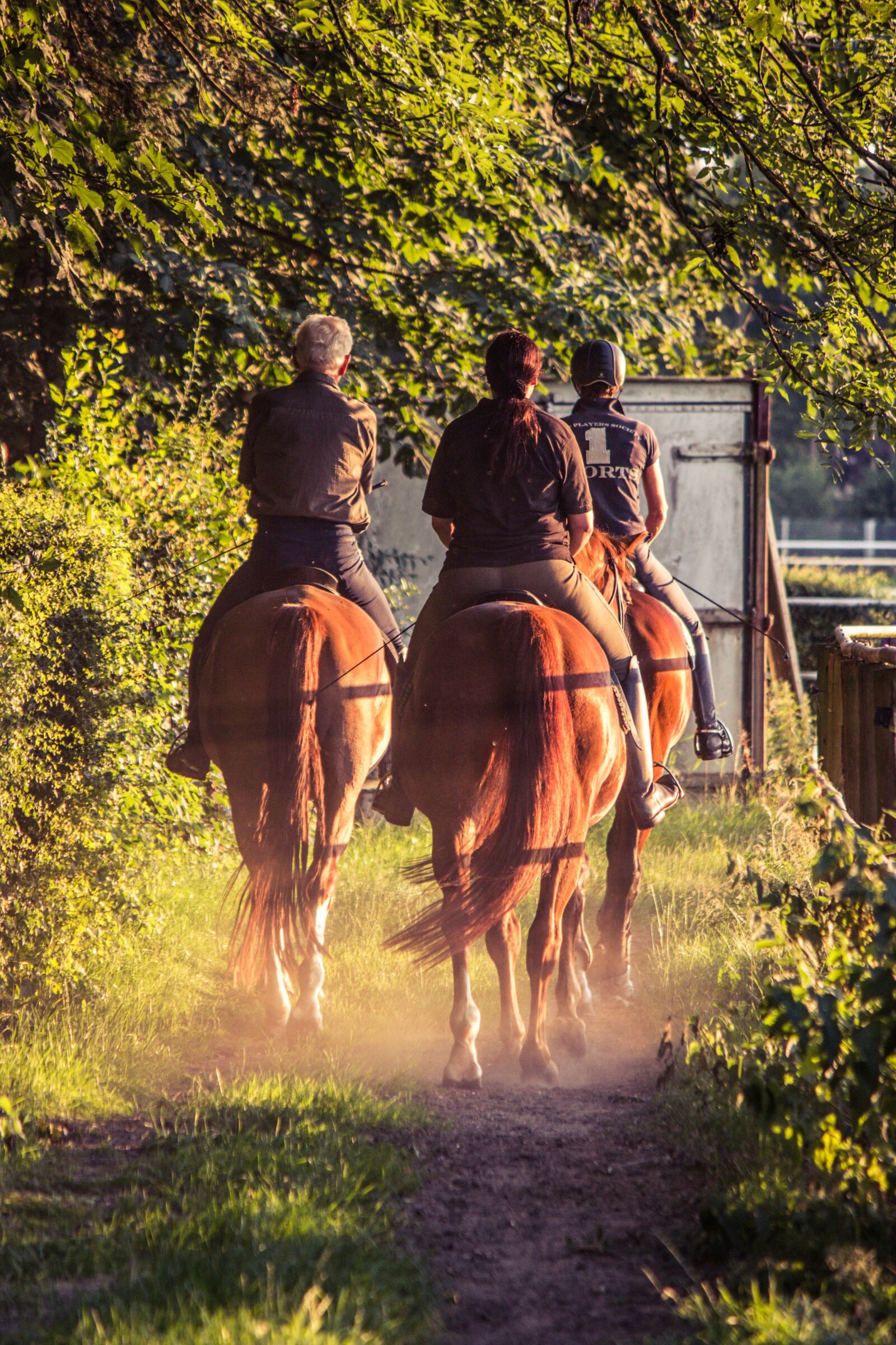Canon EF-S 55-250mm F4-5.6 IS II sample photo. Reiter, ride, horses photography