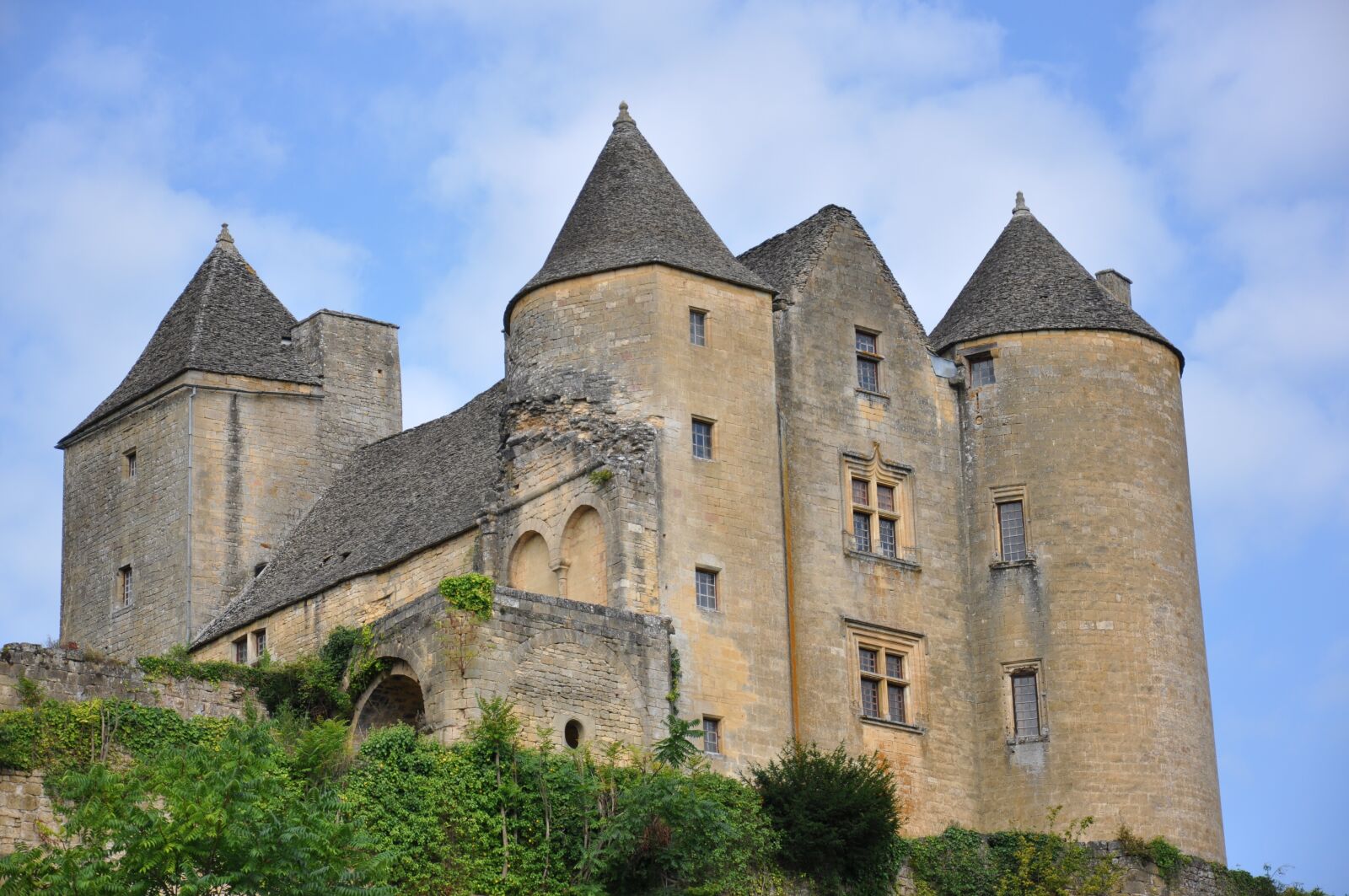 Nikon D90 sample photo. Castle, monument, dordogne photography