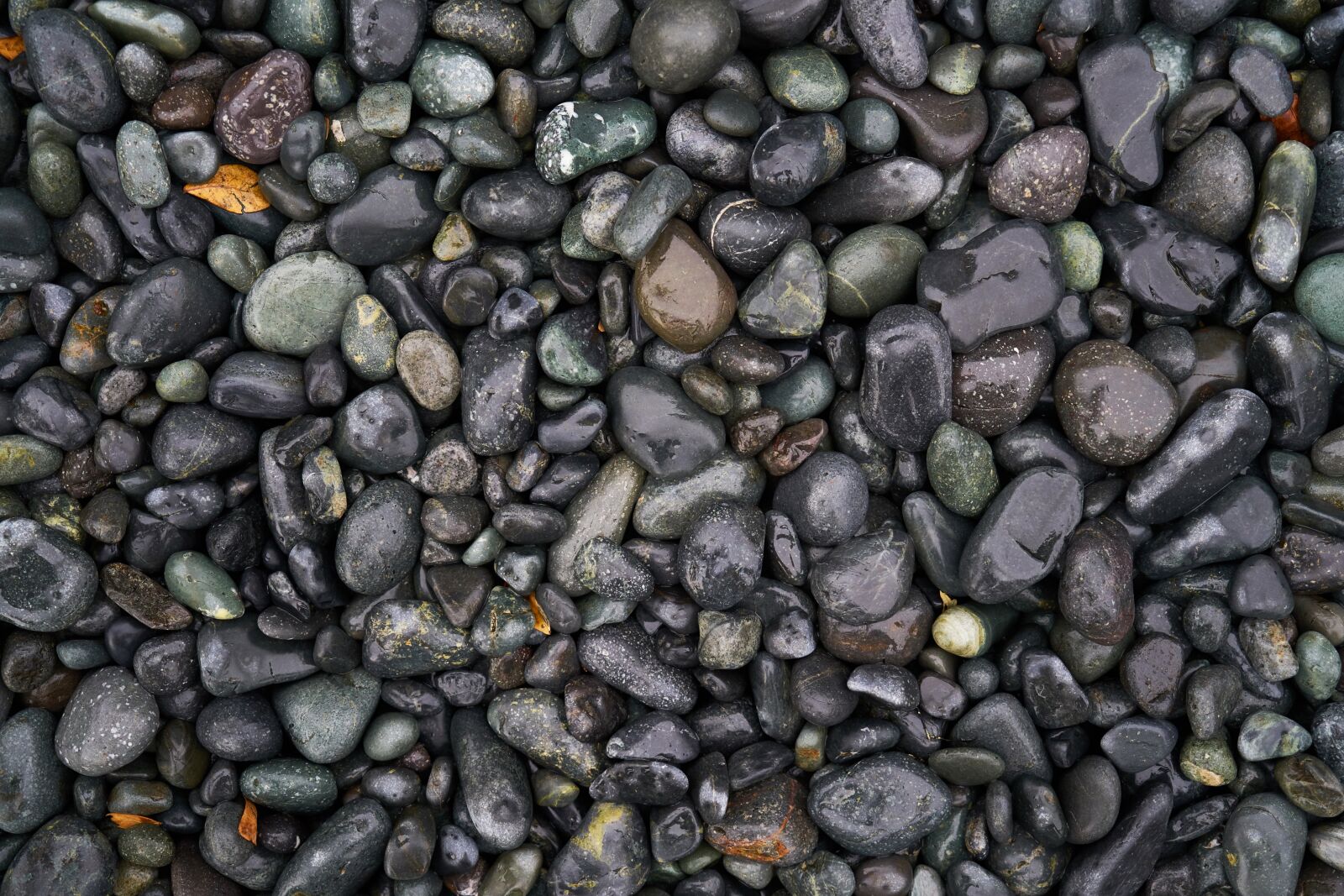 Sony a7R II sample photo. Stone, gravel, texture photography