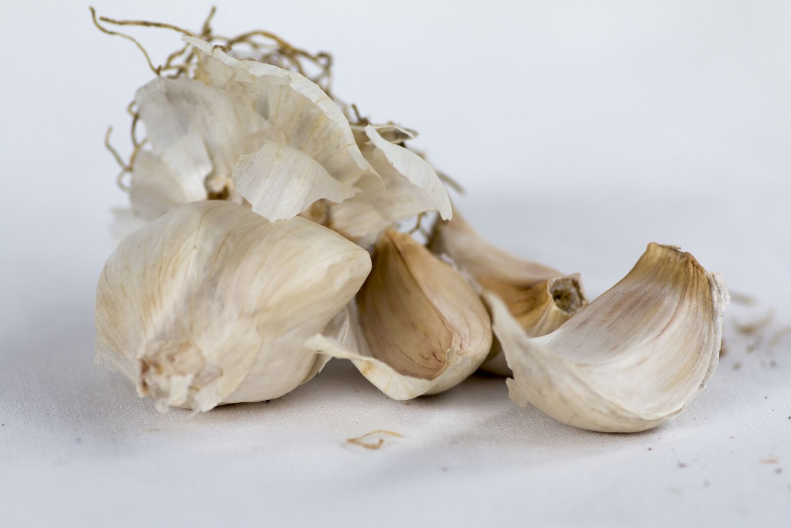 Canon EOS 70D + Tokina AT-X Pro 100mm F2.8 Macro sample photo. Garlic, cloves of garlic photography