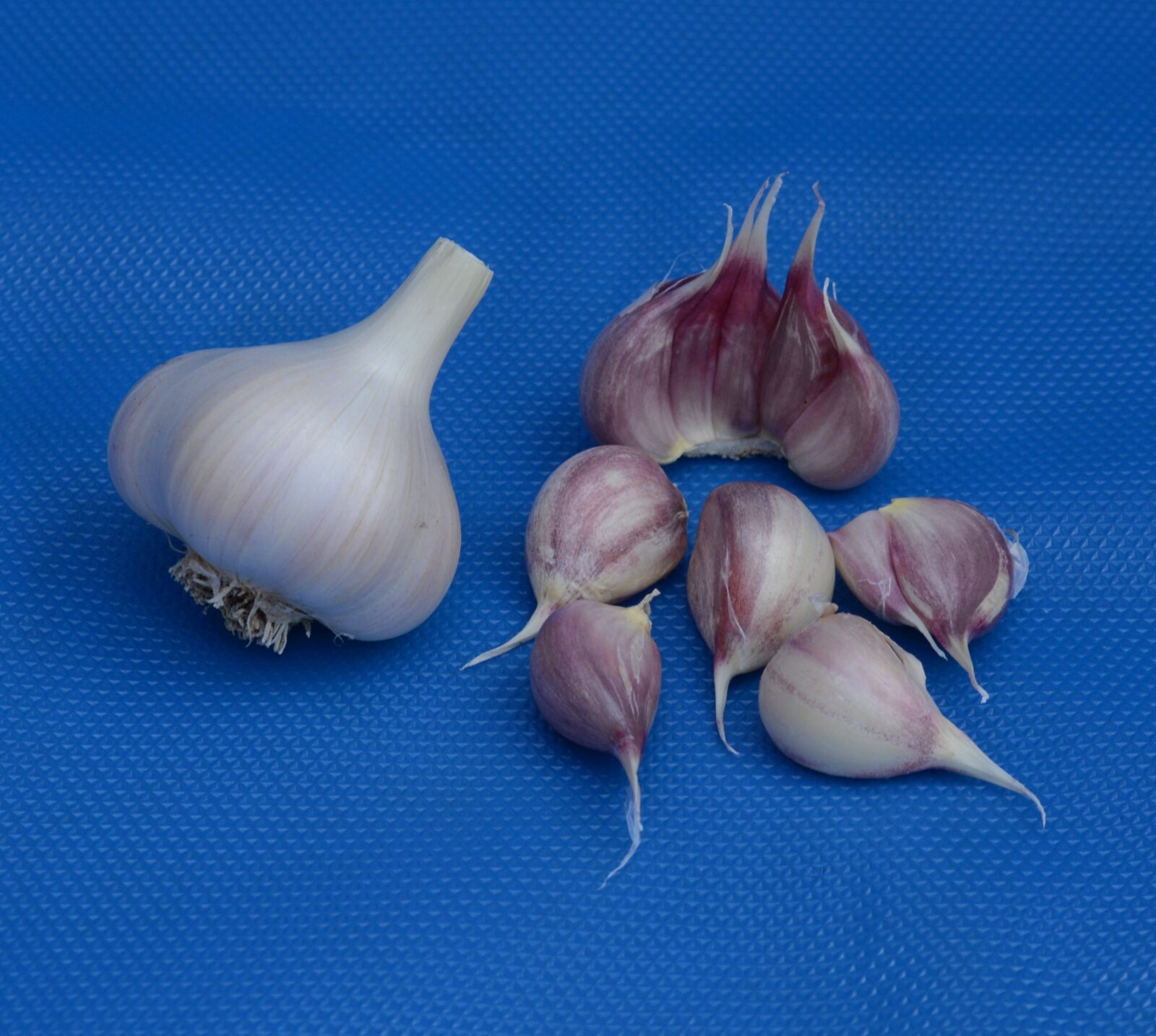 Nikon D3200 sample photo. Garlic, bulb, clove photography