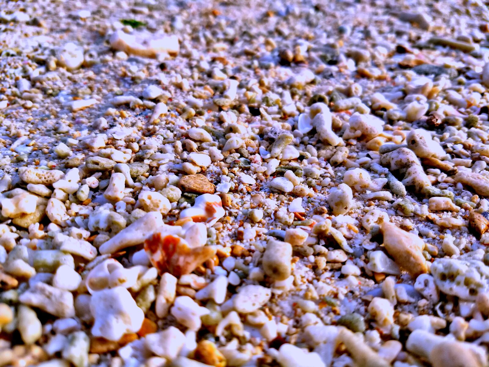 Motorola Moto G (5) Plus sample photo. Pebbles, random, focus photography