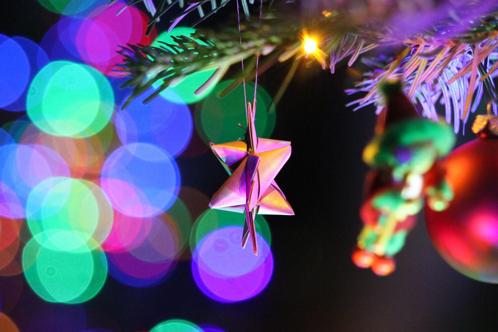 Canon EOS 80D sample photo. Christmas, star, christmas tree photography