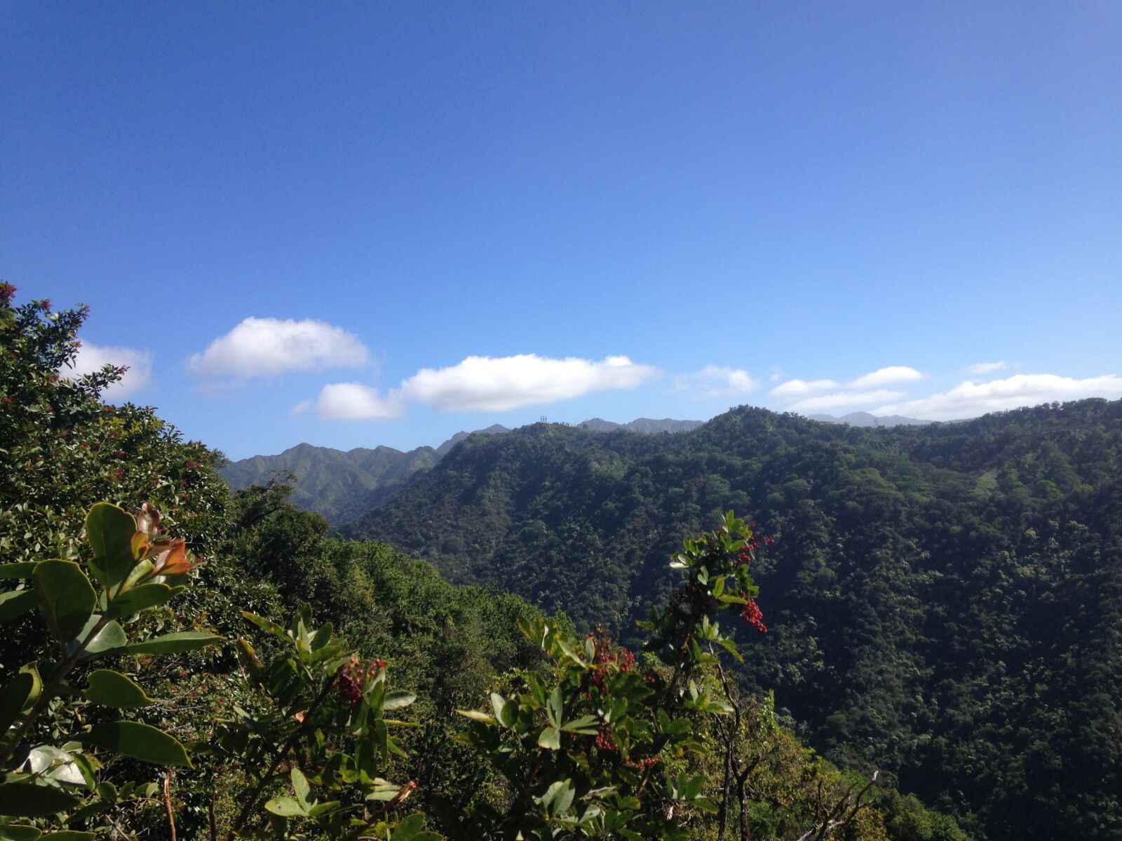 iPhone 5 back camera 4.12mm f/2.4 sample photo. Hiking, aiea, hawaii photography
