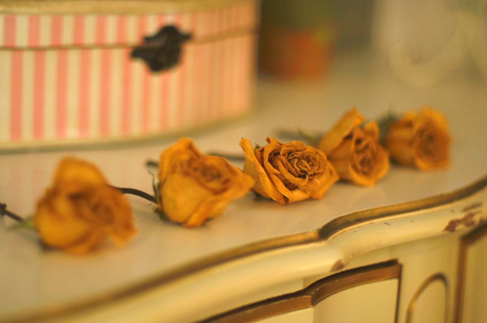 Nikon D90 sample photo. Yelllow, flower, kitchen photography