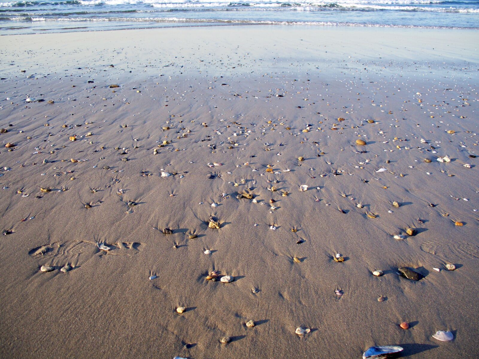 Kodak EASYSHARE Z1485 IS DIGITAL CAMERA sample photo. Sand, beach, nature photography