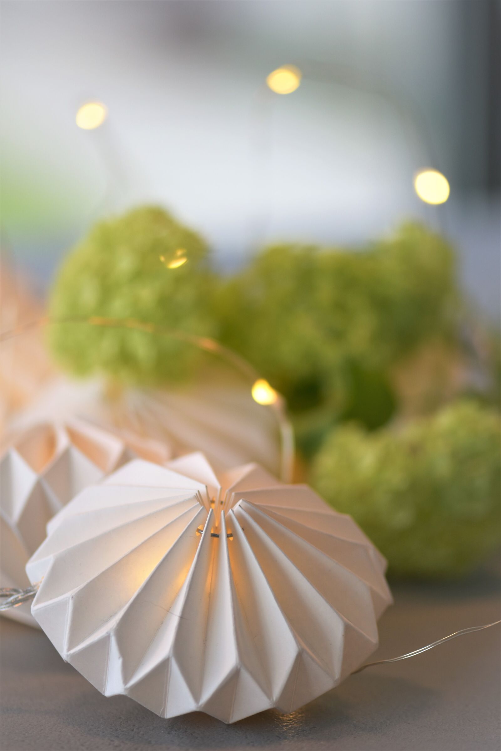 Nikon D5500 sample photo. Decoration, deco, table decorations photography