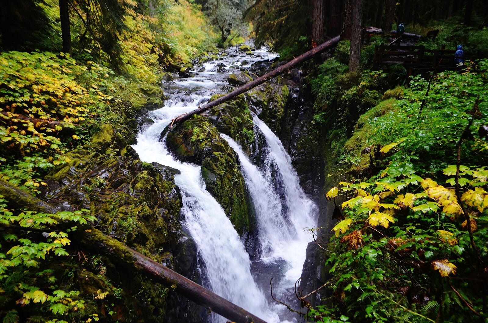 Nikon D5100 sample photo. Sol duc falls, water photography