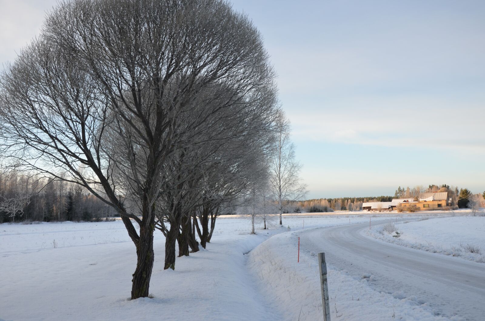 Nikon D5100 sample photo. Winter, snow, frost photography