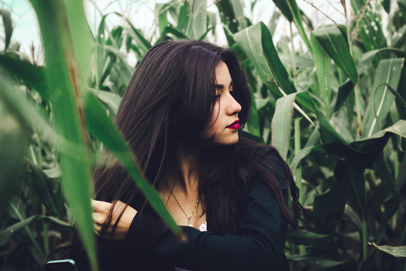 Canon EOS 60D + Canon EF 50mm F1.8 II sample photo. Beautiful, corn field, model photography