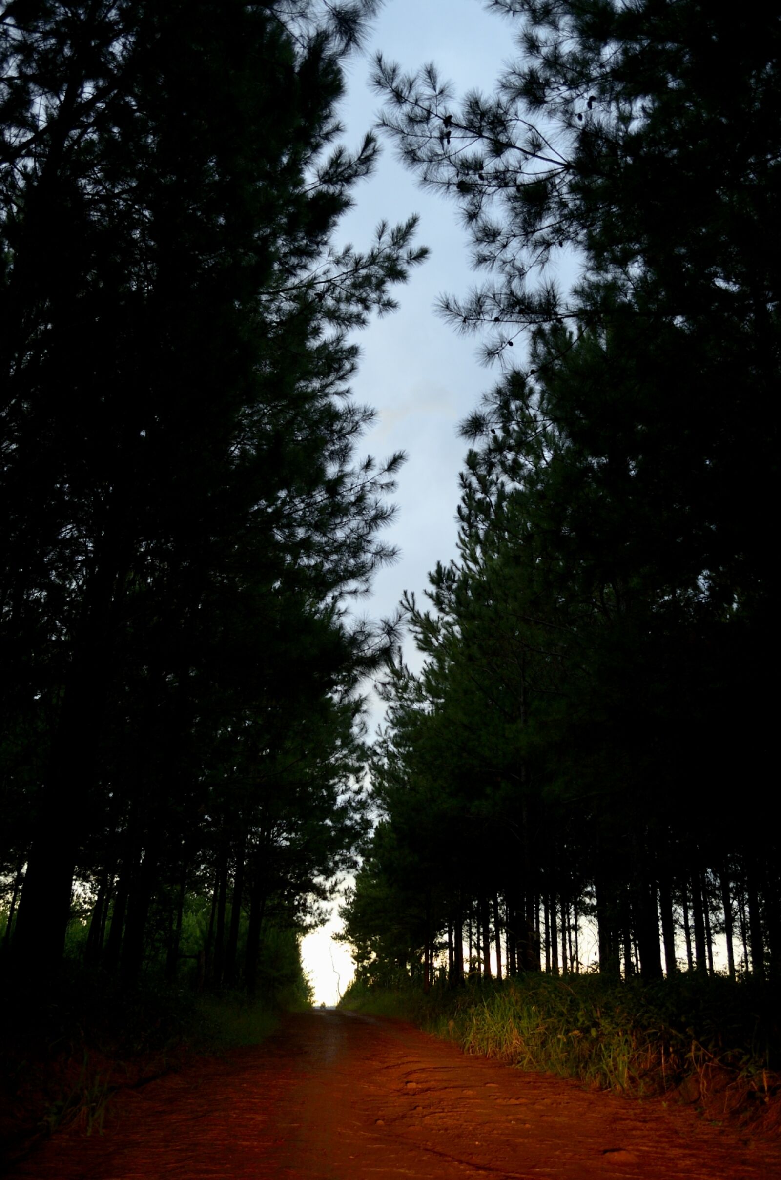 Nikon D5100 sample photo