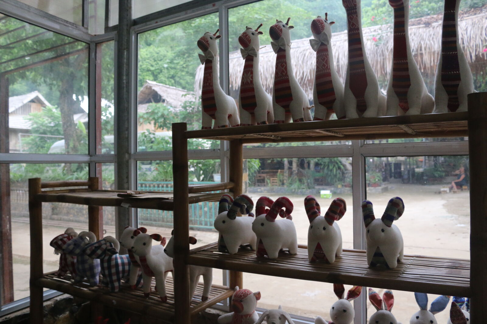Canon EOS 70D sample photo