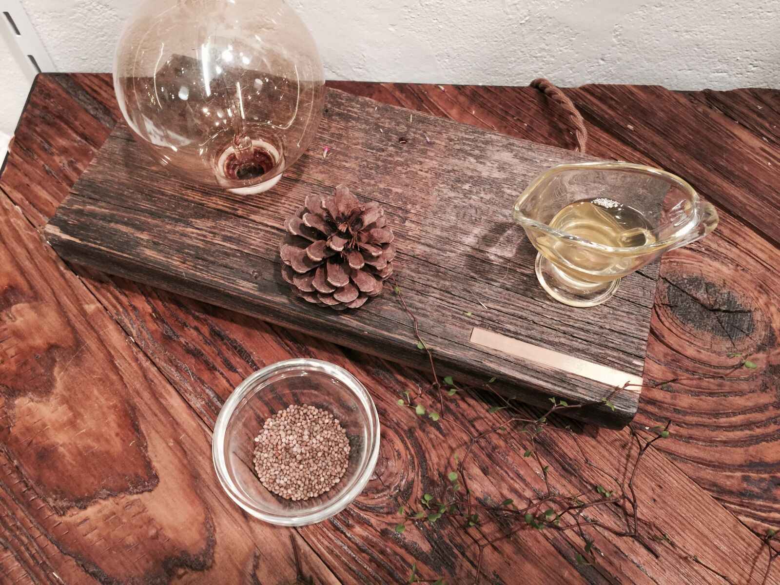 iPhone 6 Plus back camera 4.15mm f/2.2 sample photo. Sesame, pine cone, wood photography