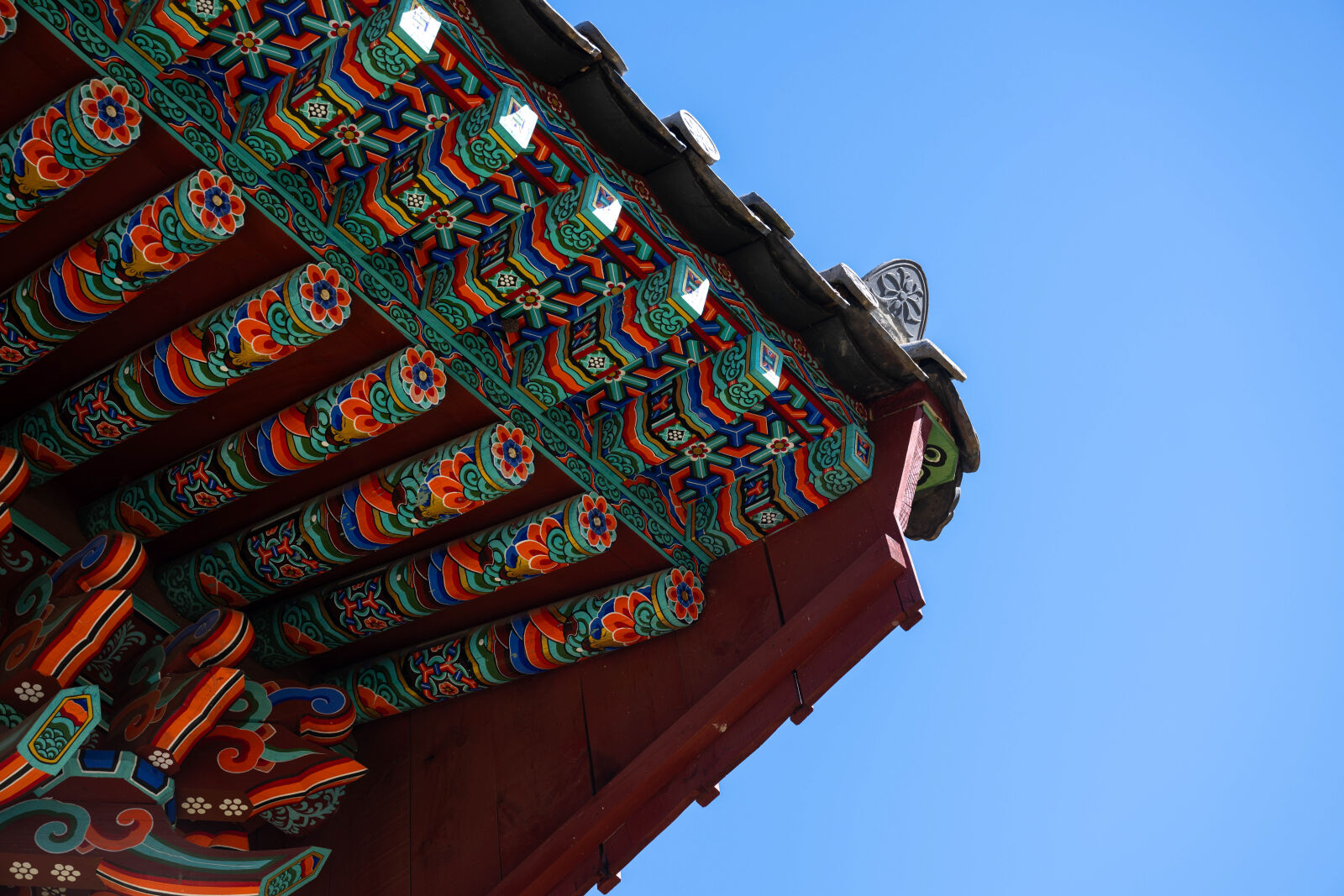 Nikon Nikkor Z 24-70mm F2.8 S sample photo