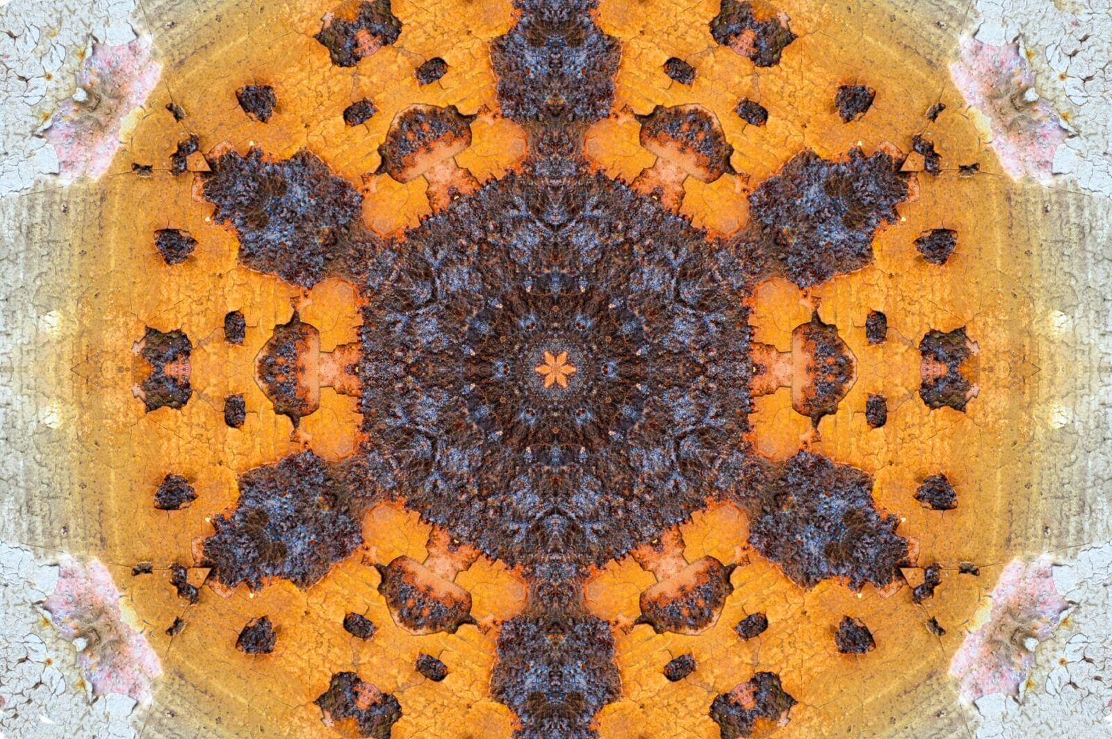 Nikon D3200 sample photo. Mandalas, rosette, decorative photography