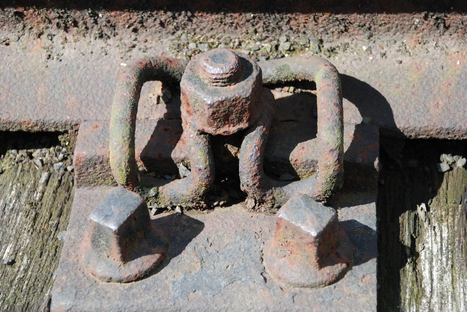 Nikon D80 sample photo. Industry, screw, metal photography