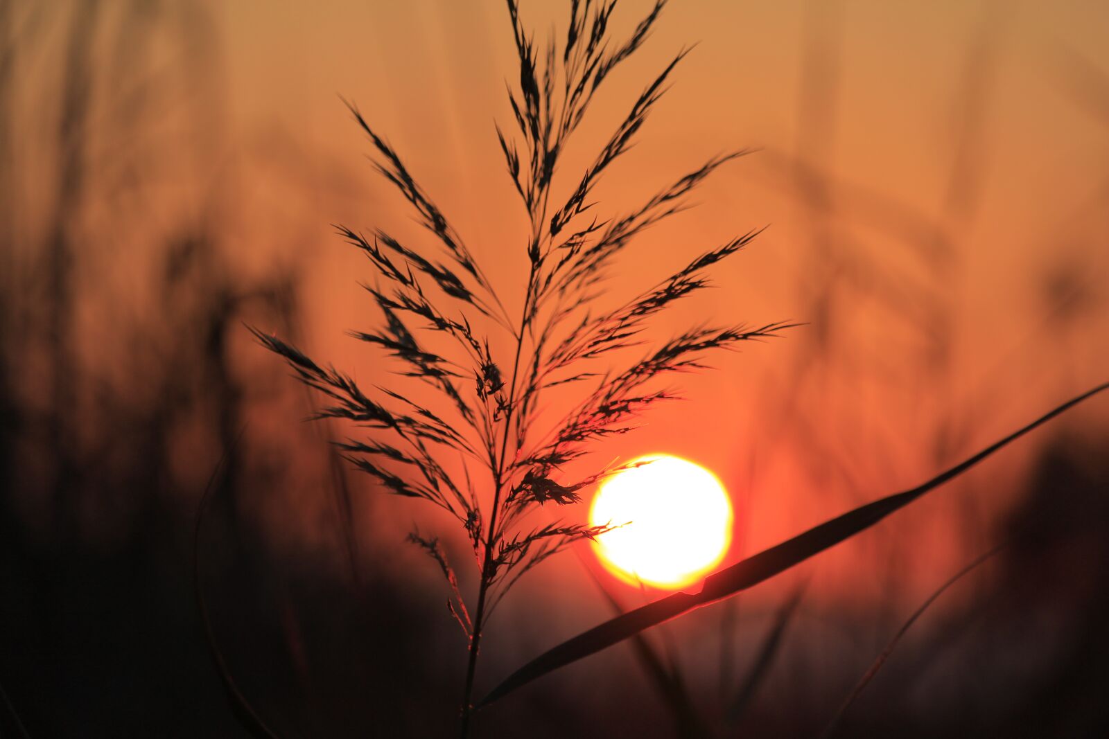 Canon EOS 1200D (EOS Rebel T5 / EOS Kiss X70 / EOS Hi) sample photo. Travel, landscape, sunset photography