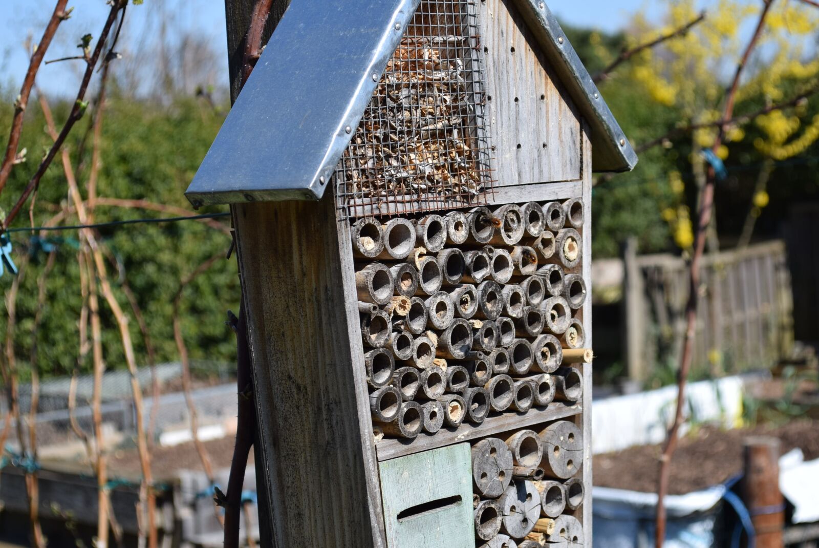 Nikon D5300 sample photo. House, wood, nature photography