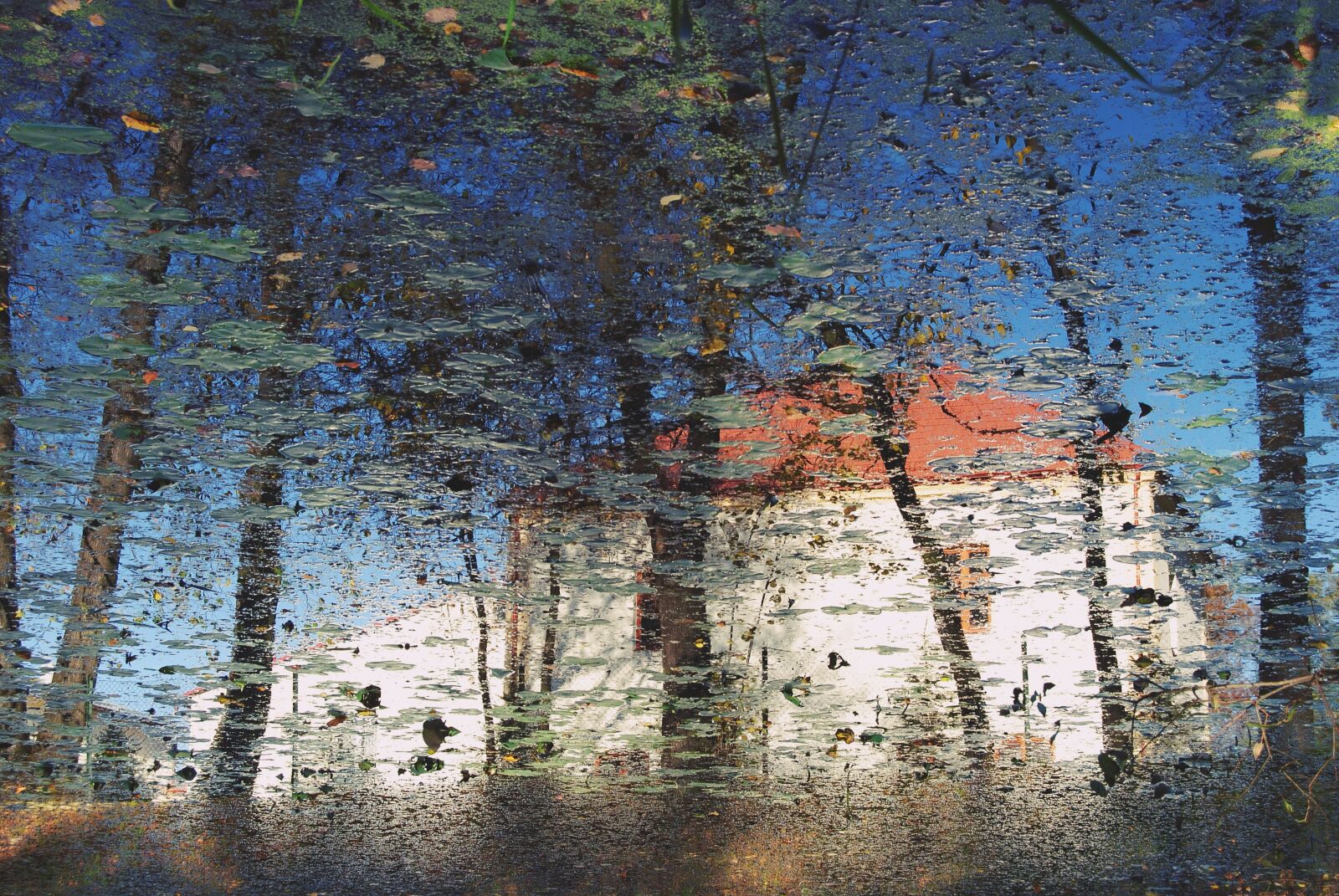 Nikon D3000 sample photo. Reflection, pond, landscape photography