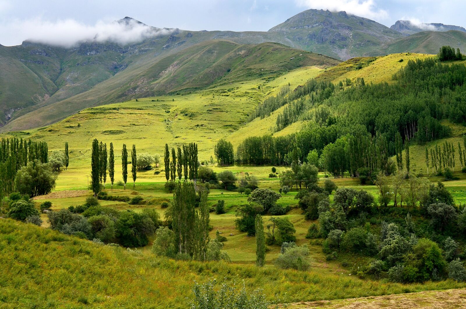 Nikon D5100 sample photo. Nature, landscape, kaçkars photography