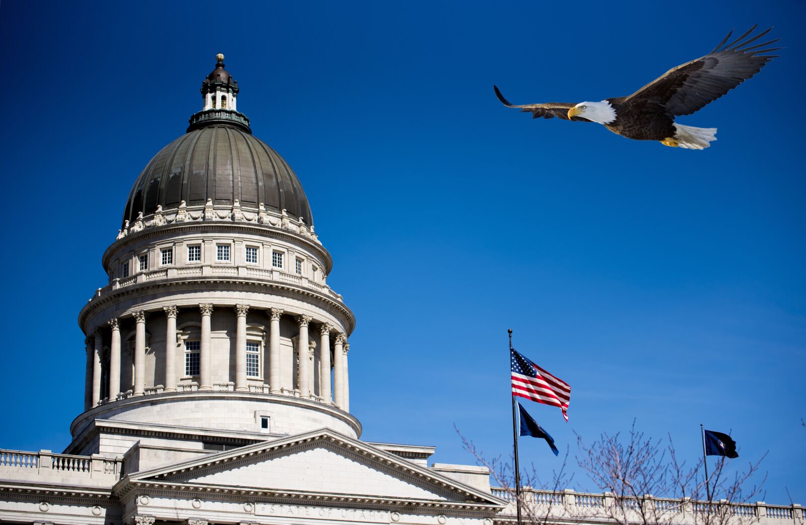 Nikon D750 sample photo. Utah, capital, eagle photography
